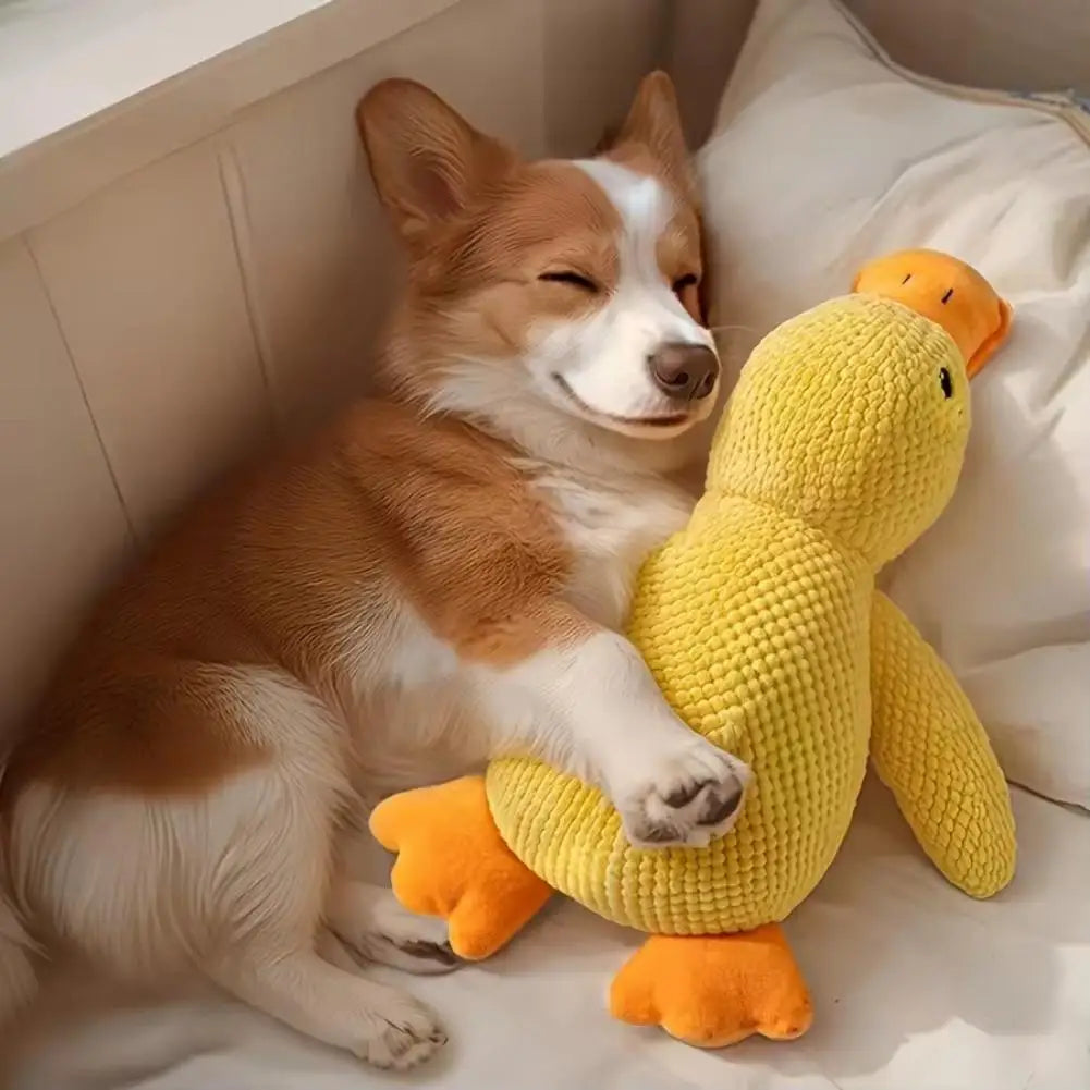 Indestructible Dog Toys for Aggressive Chewers