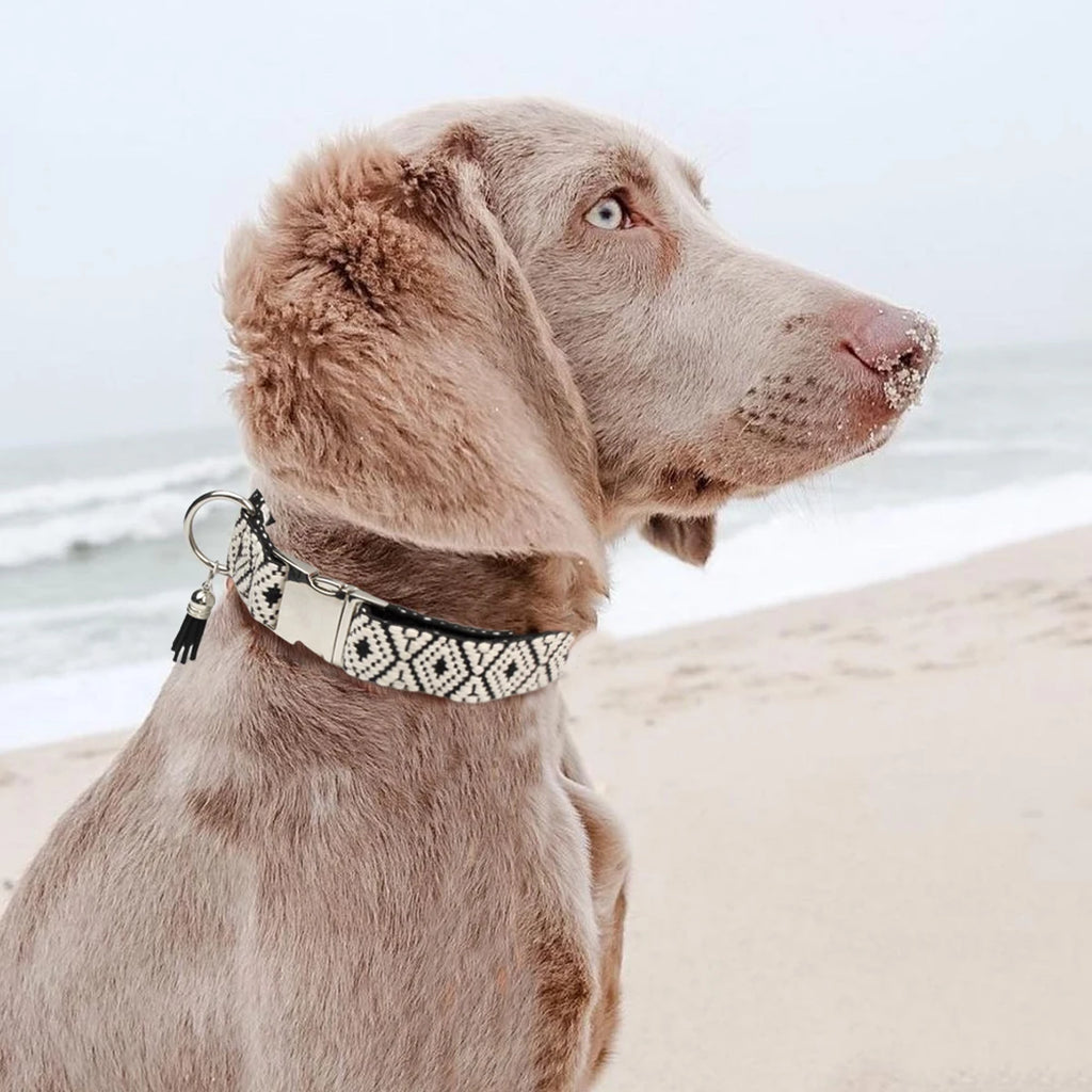 Bohemian Ethnic Style Pet Collars