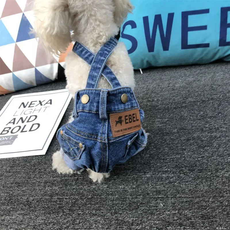 Denim Dog Jeans