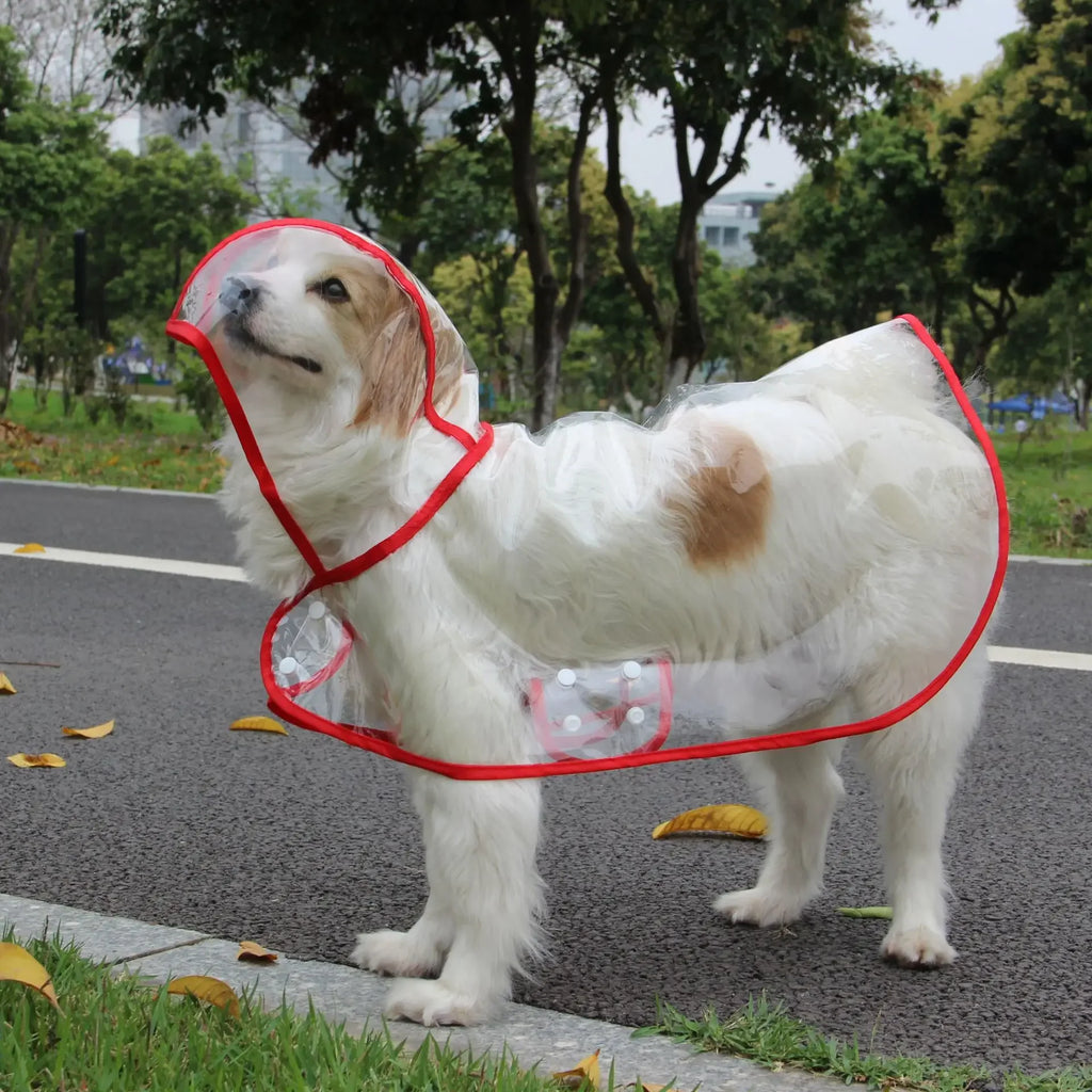 Puppy Raincoat Waterproof