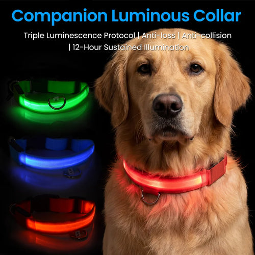 dog supplies USB Rechargeable LED Dog Collar, Glowing Pet Safety Collar dogs accessorie Light Up Dog Necklace for Night Walking
