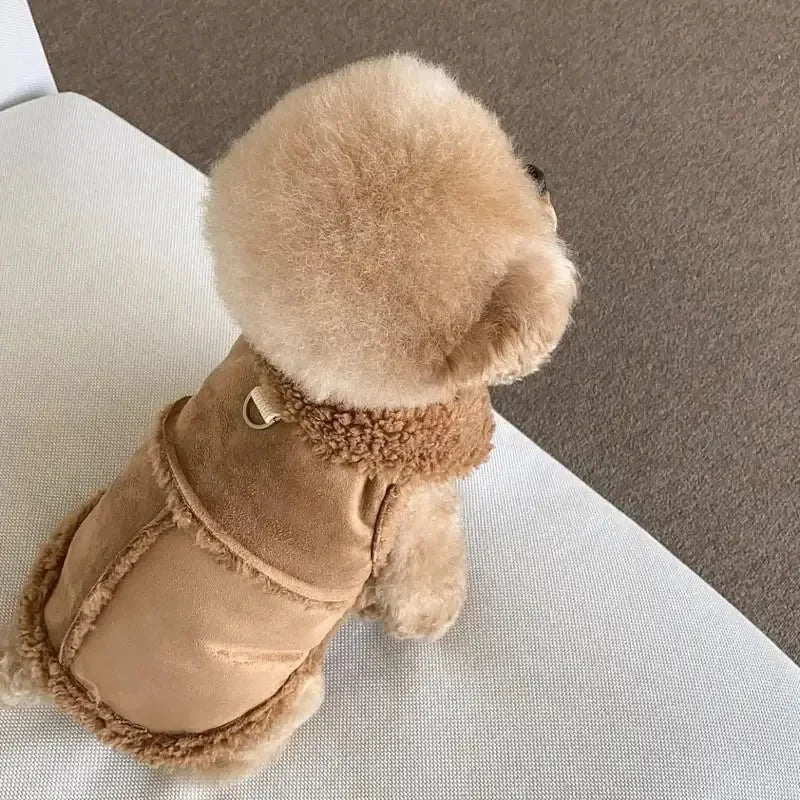 Doggy Vest/Jacket