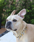 Luxury Design Cuban Chain Dog Collar